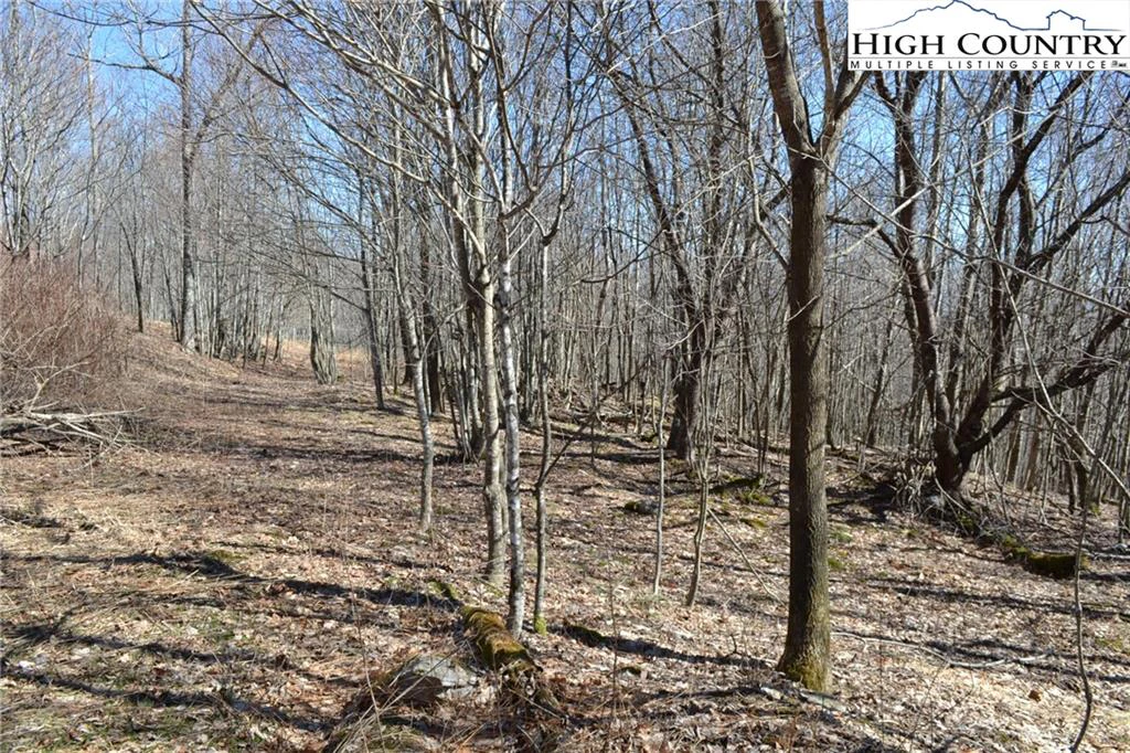 Image number 7 for the current listing
