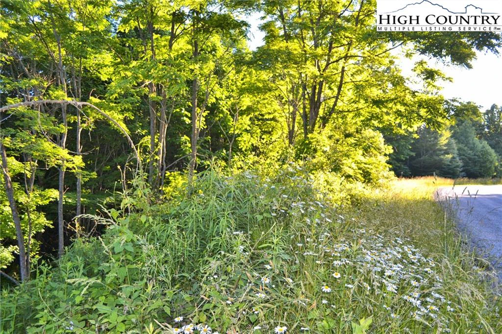 Image number 9 for the current listing