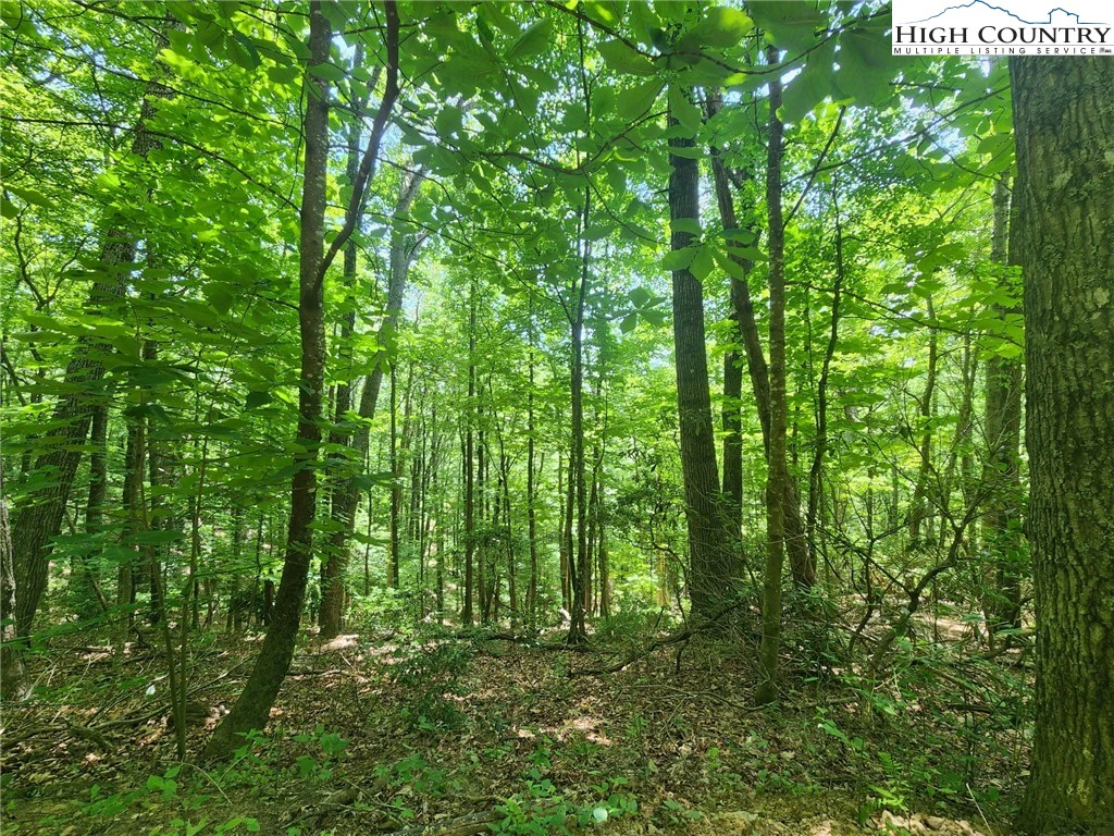 Image number 1 for the current listing