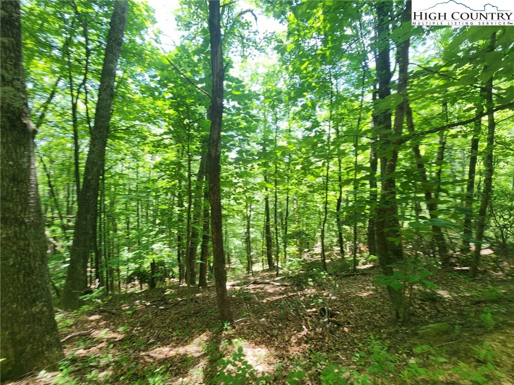 Image number 4 for the current listing