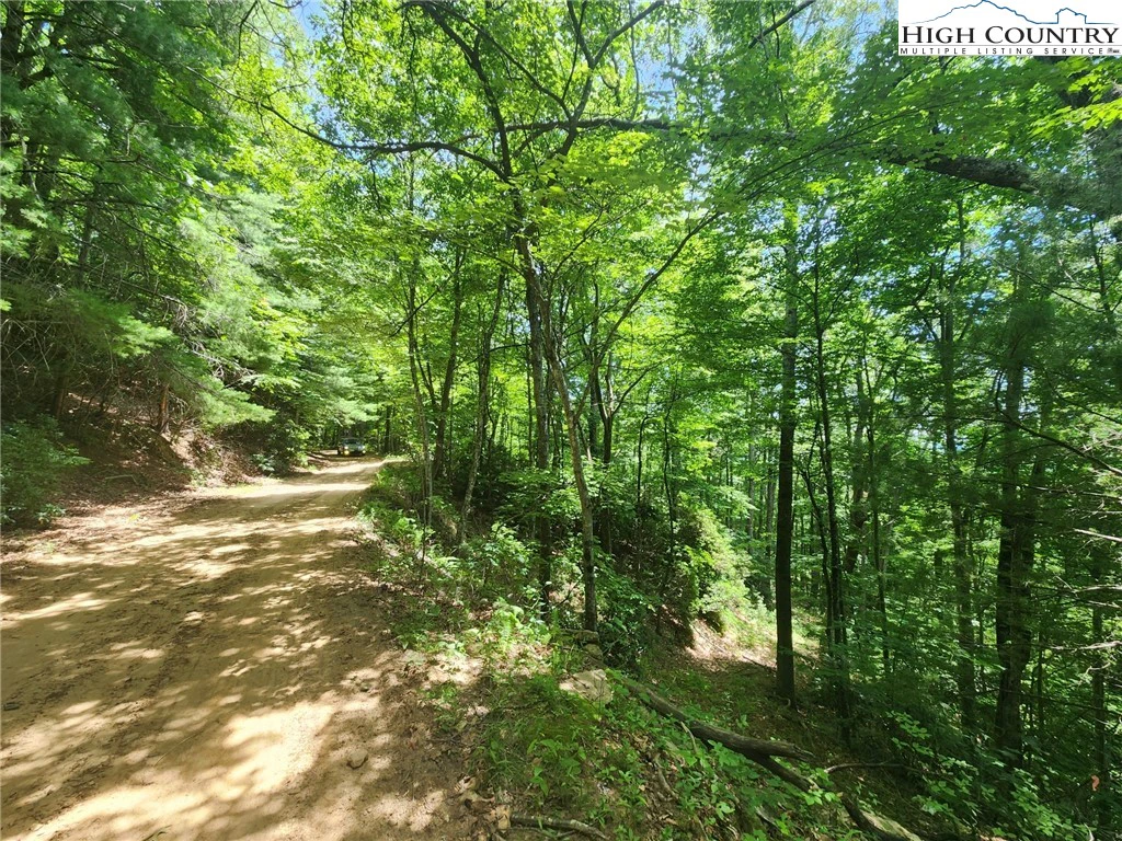 Image number 6 for the current listing