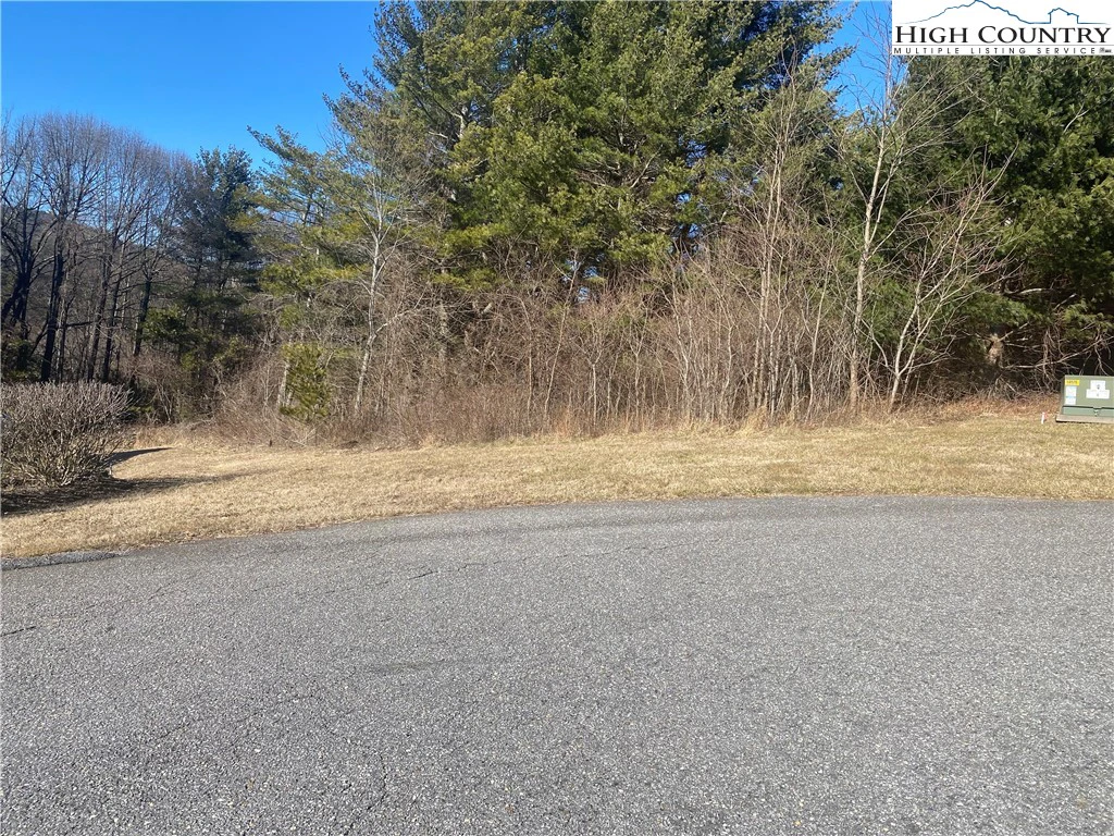 Image number 5 for the current listing