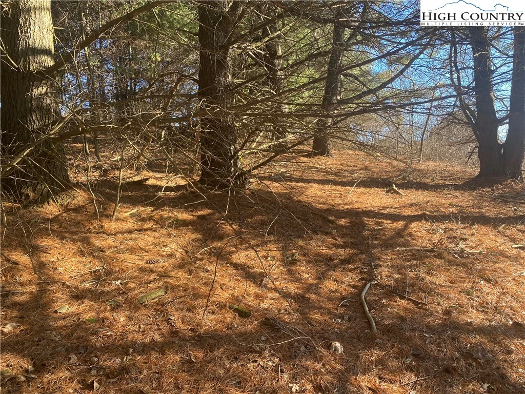 Image number 7 for the current listing