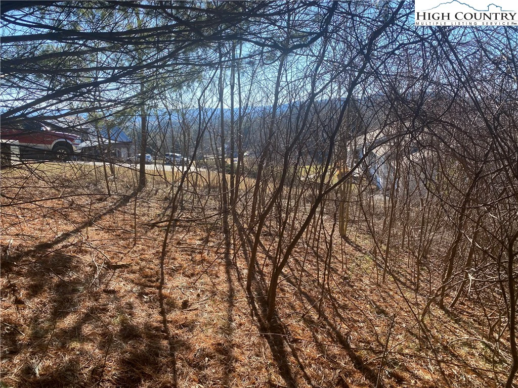 Image number 10 for the current listing