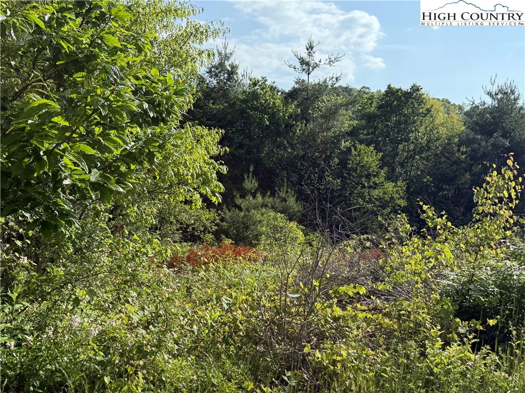 Image number 5 for the current listing