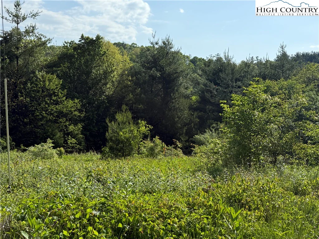 Image number 1 for the current listing