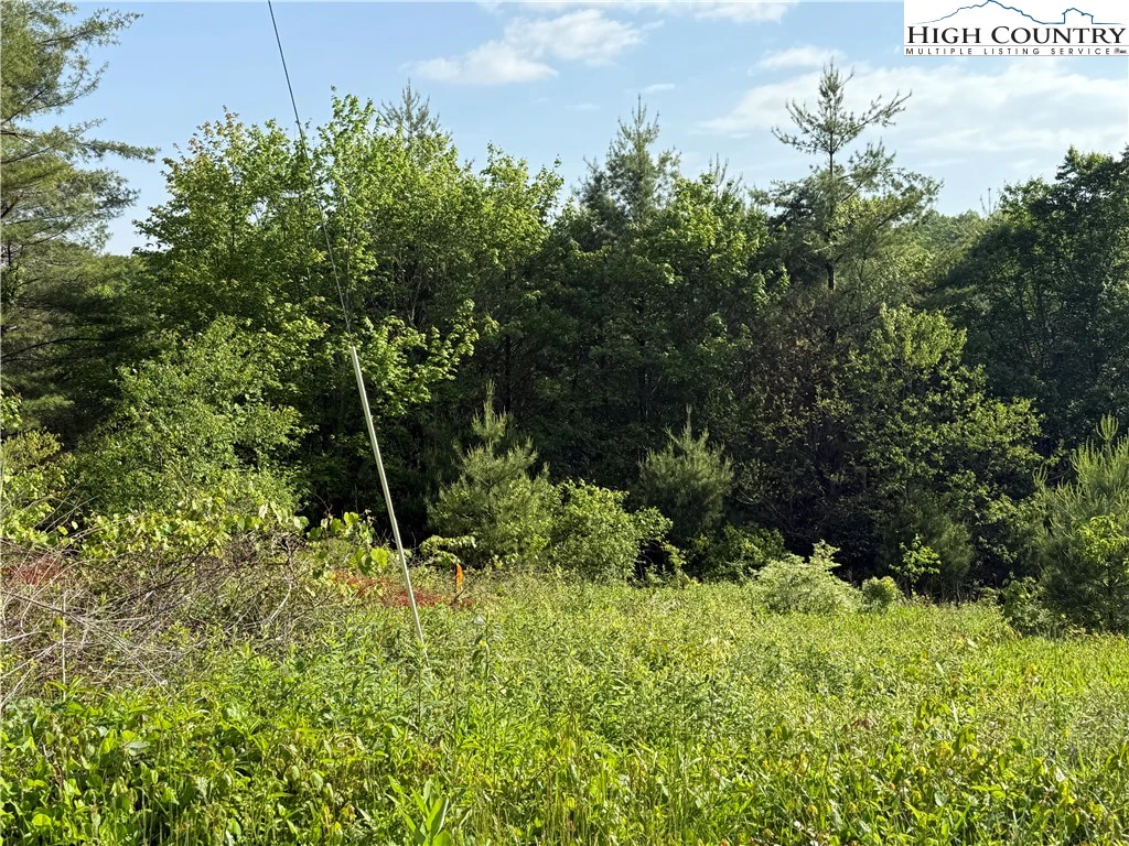 Image number 8 for the current listing
