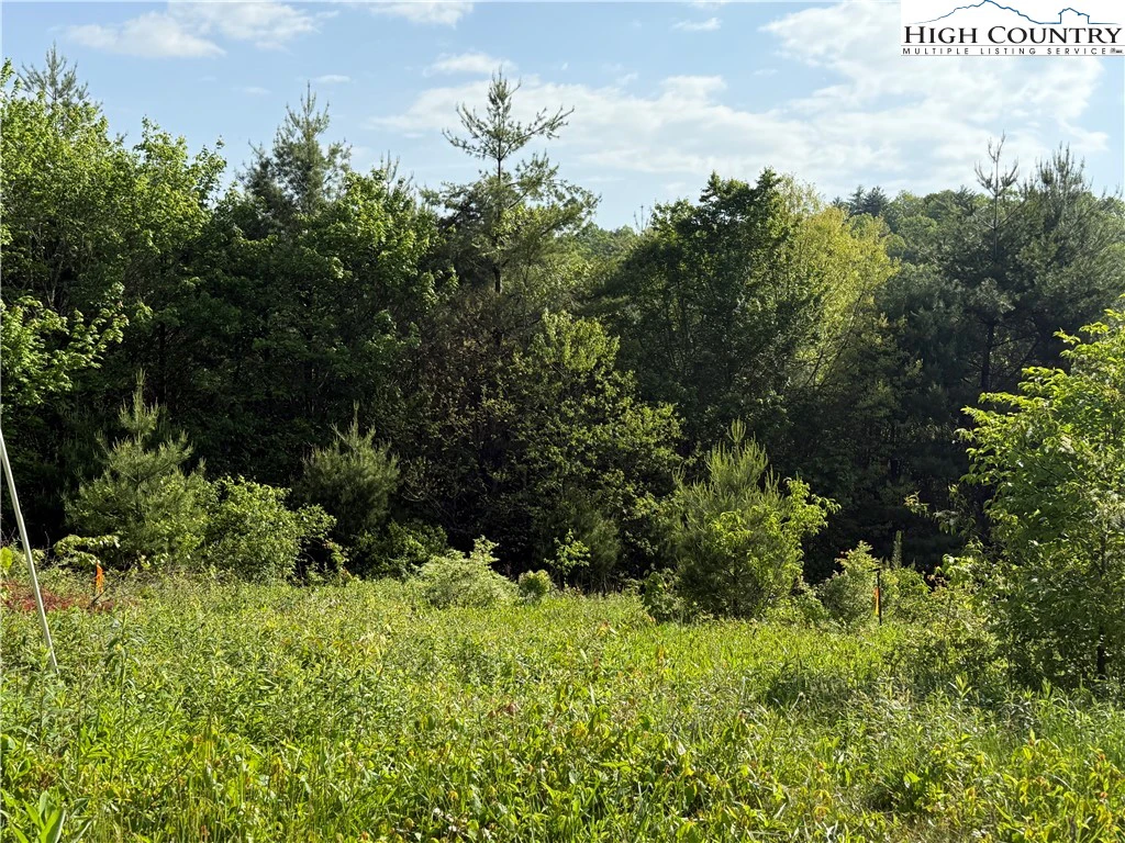 Image number 10 for the current listing