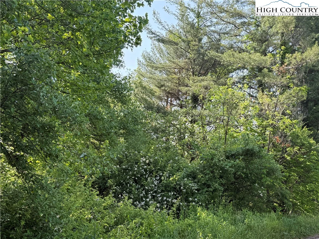 Image number 12 for the current listing