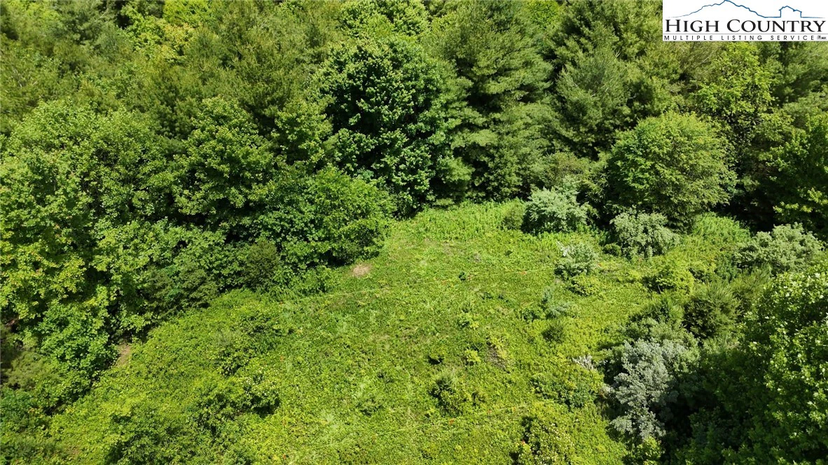 Image number 3 for the current listing