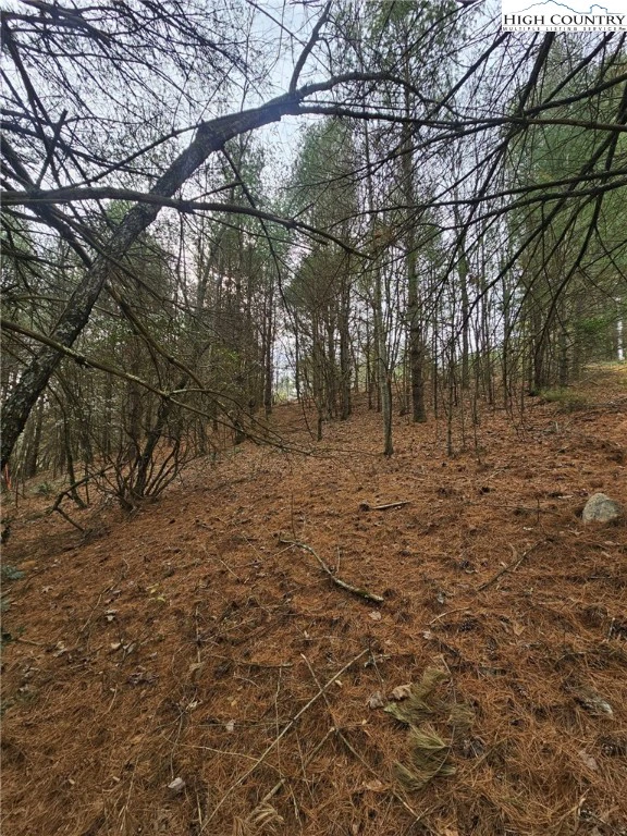 Image number 9 for the current listing