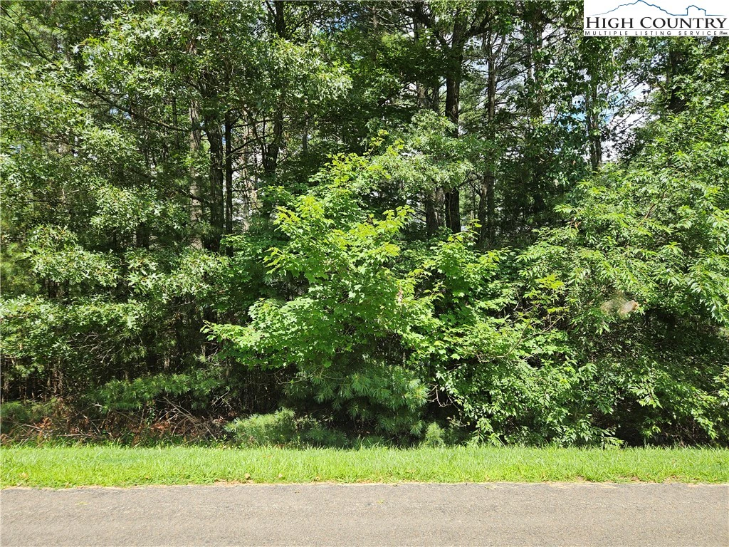 Image number 1 for the current listing