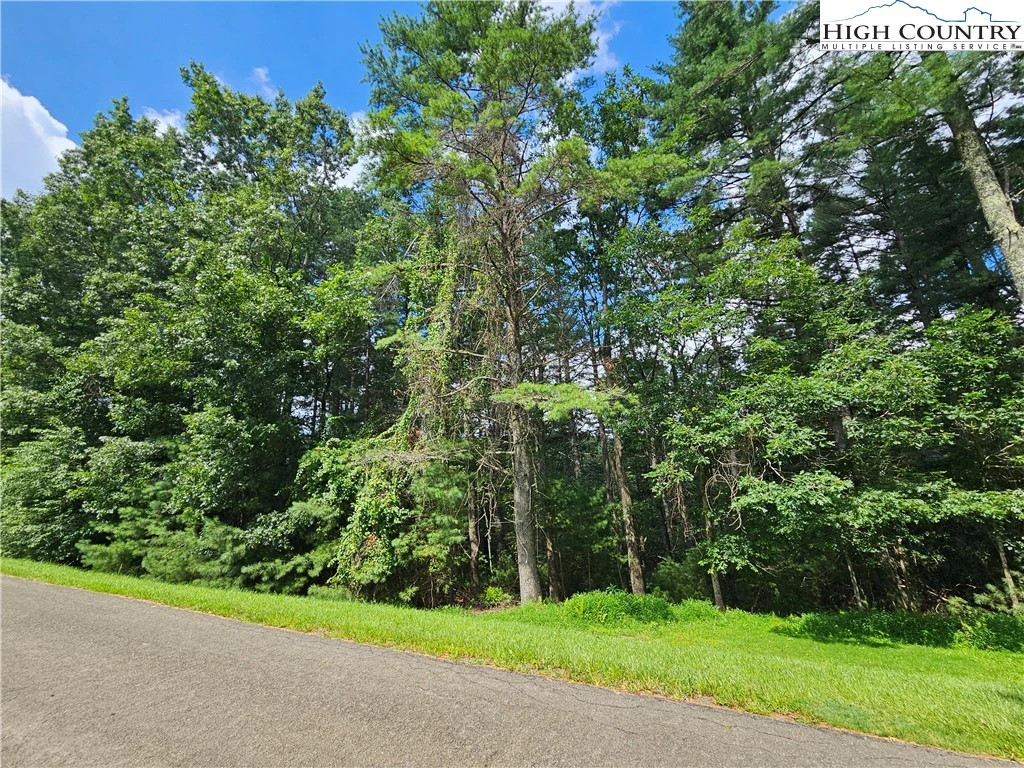 Image number 3 for the current listing