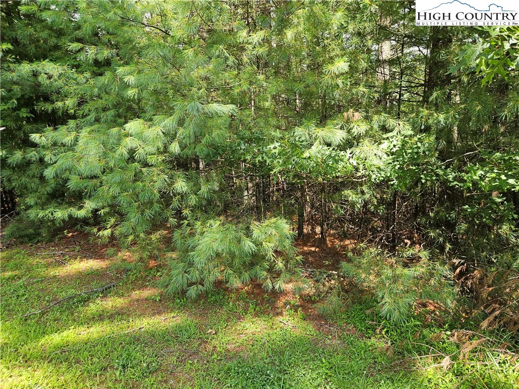 Image number 4 for the current listing