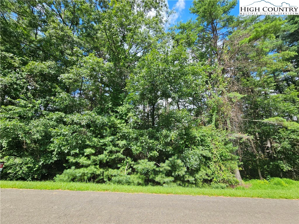 Image number 5 for the current listing
