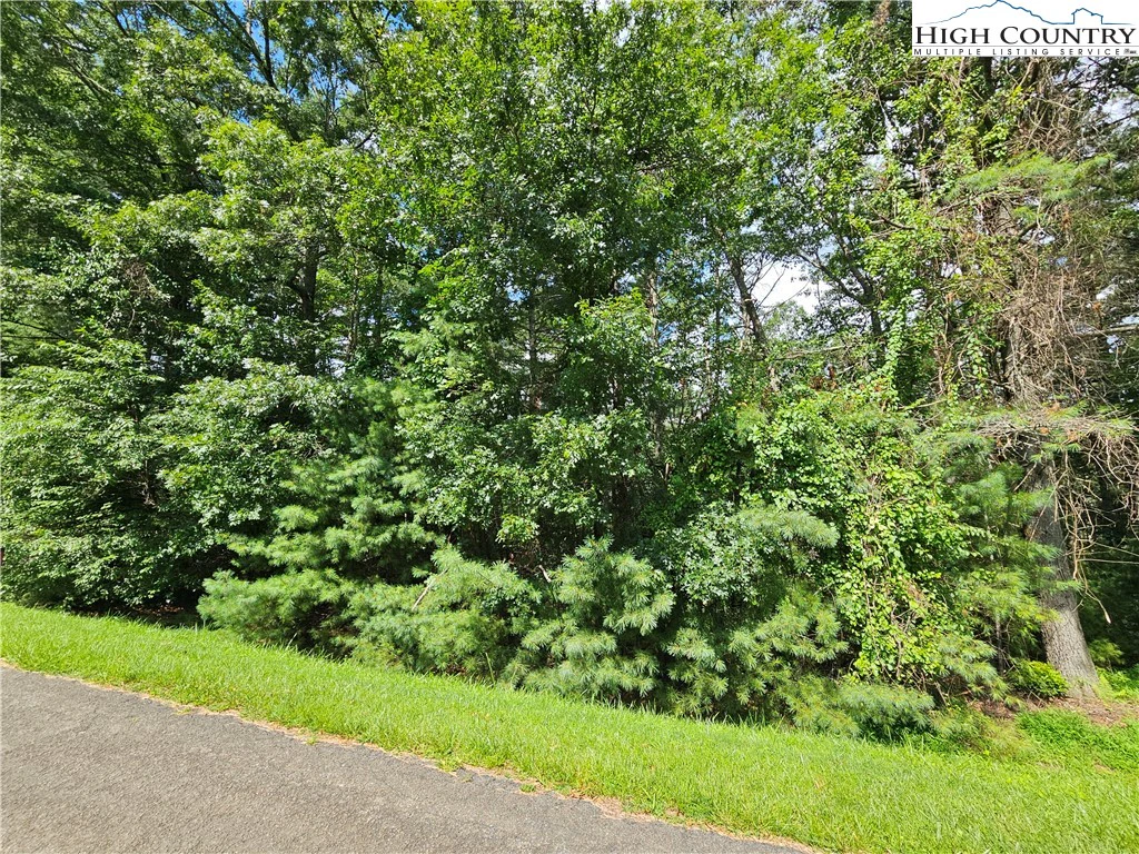 Image number 6 for the current listing