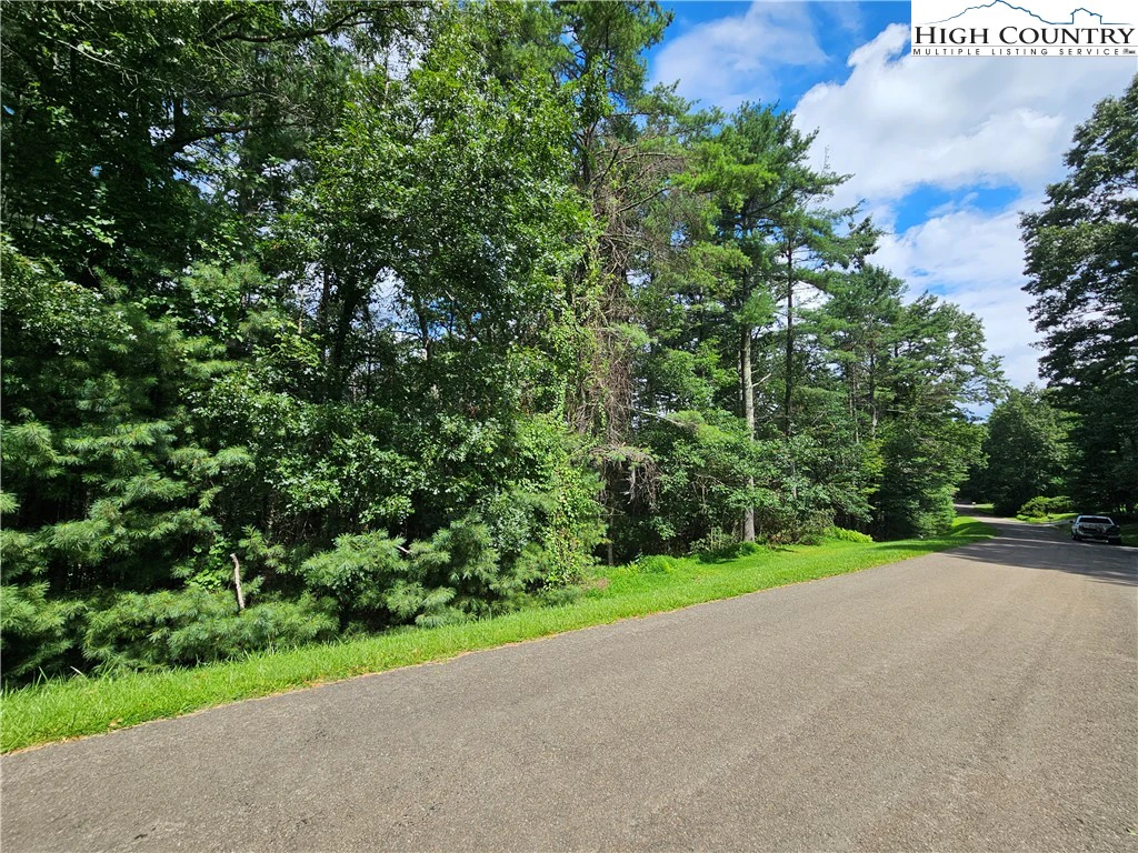 Image number 7 for the current listing