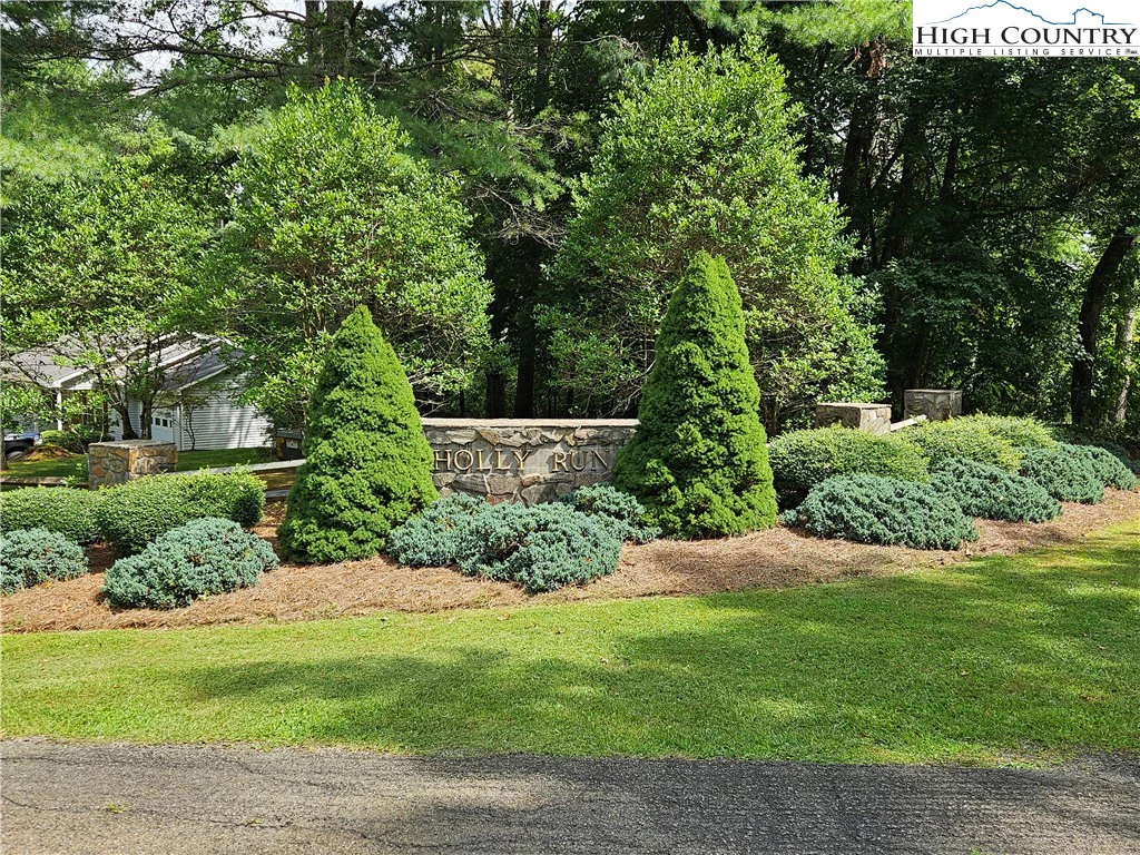 Image number 8 for the current listing