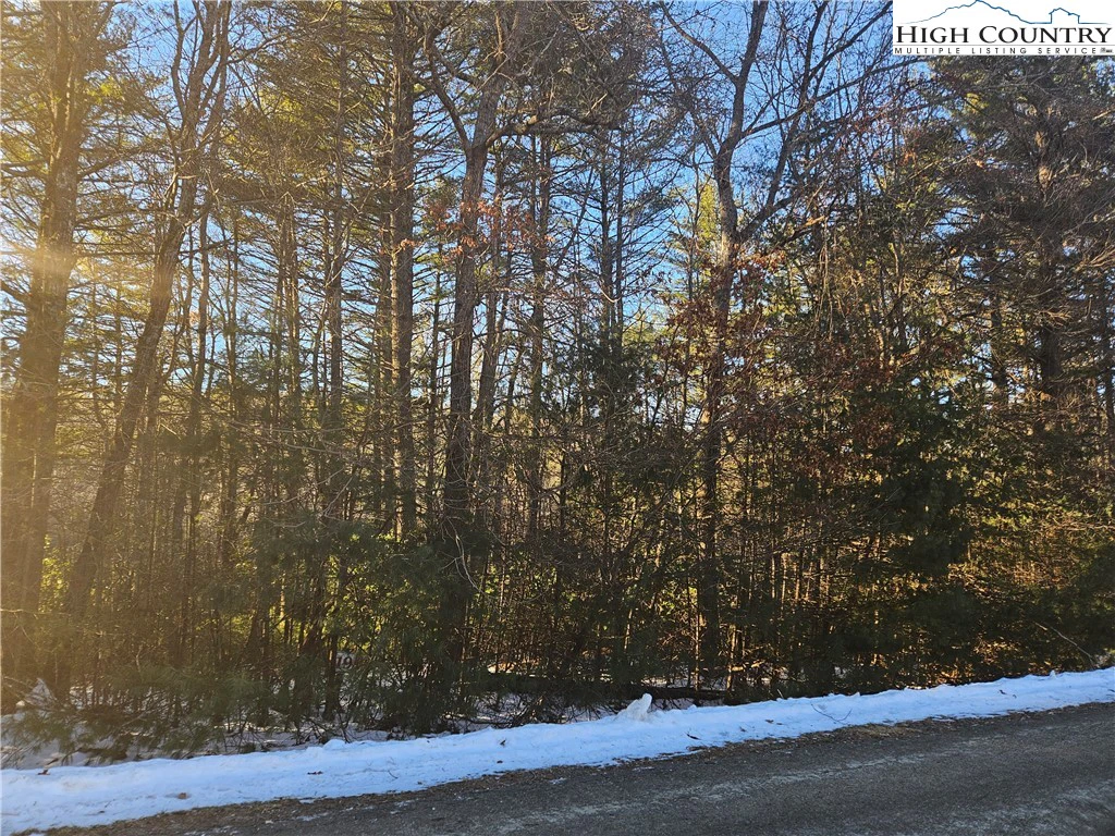 Image number 9 for the current listing