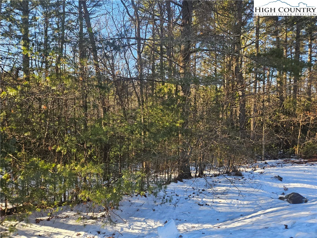 Image number 11 for the current listing