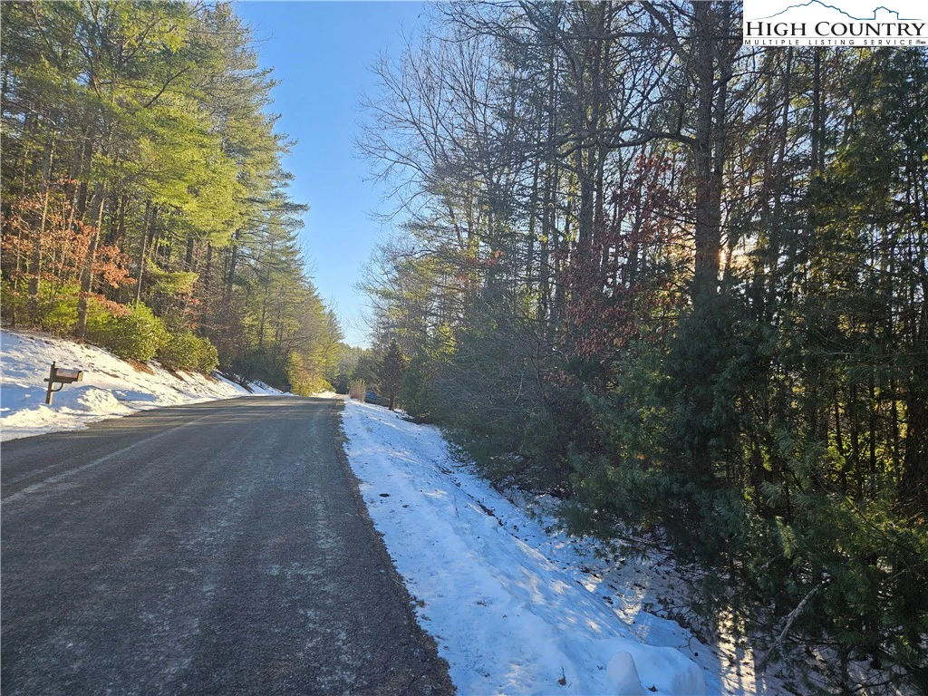 Image number 12 for the current listing