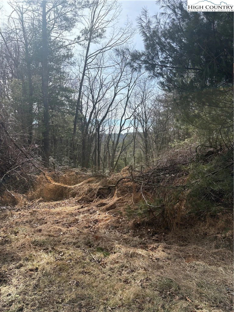 Image number 3 for the current listing