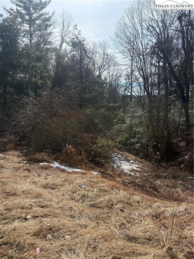 Image number 4 for the current listing