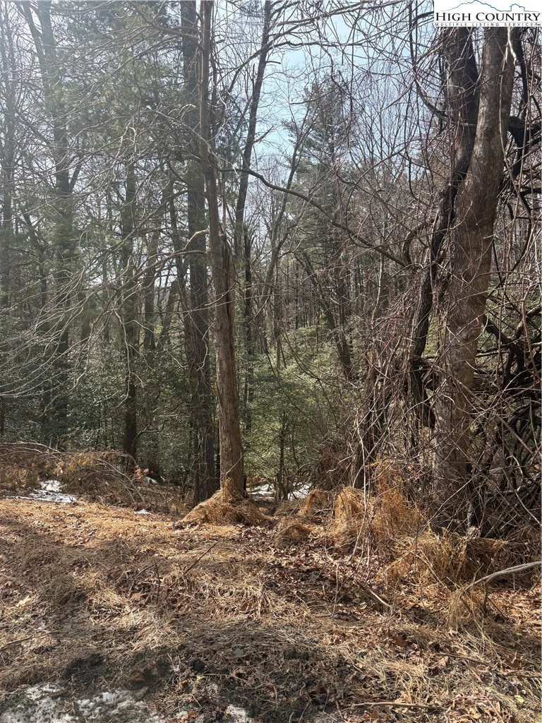 Image number 6 for the current listing