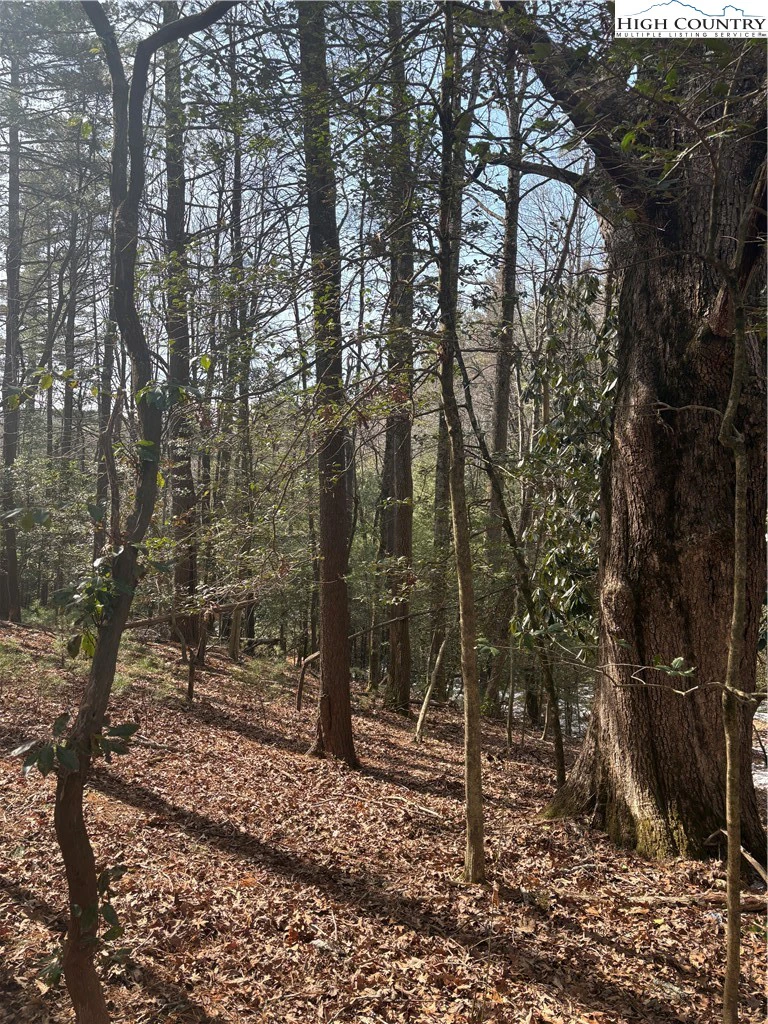 Image number 1 for the current listing
