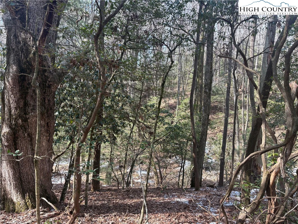 Image number 9 for the current listing