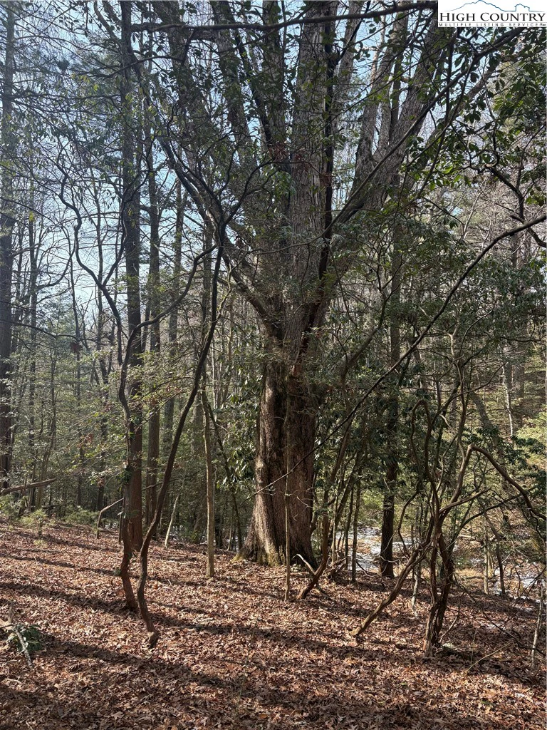Image number 10 for the current listing