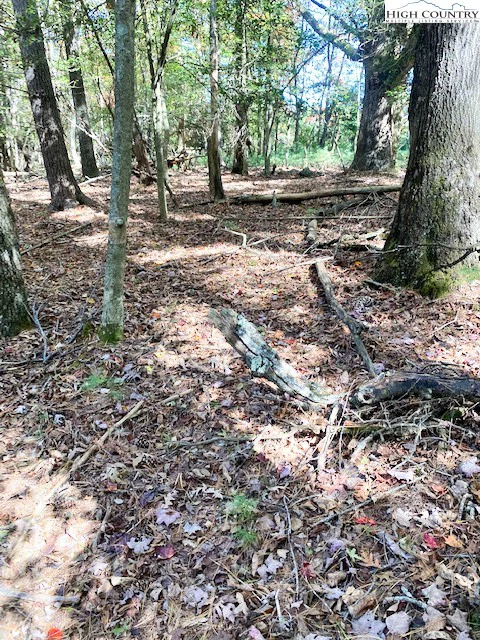 Image number 1 for the current listing
