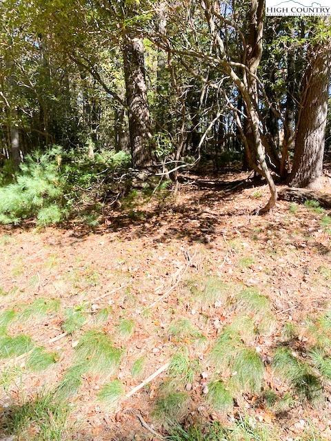 Image number 5 for the current listing