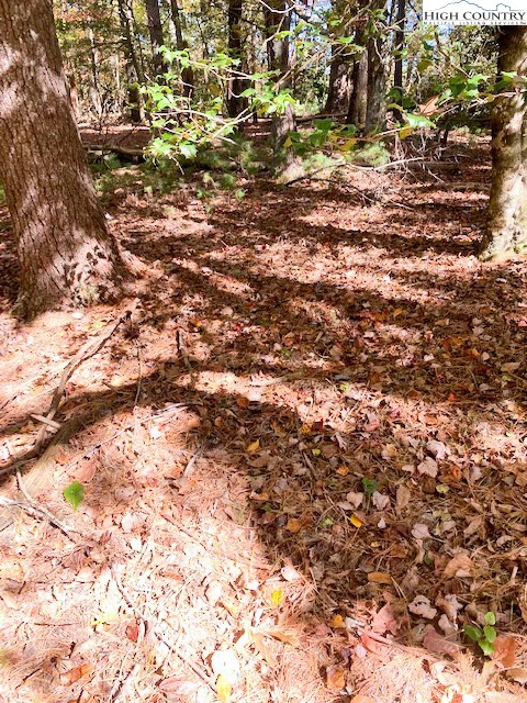 Image number 6 for the current listing