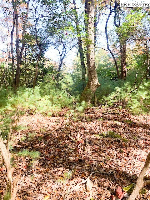 Image number 7 for the current listing