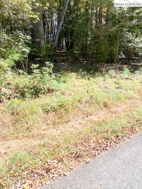 Image number 13 for the current listing