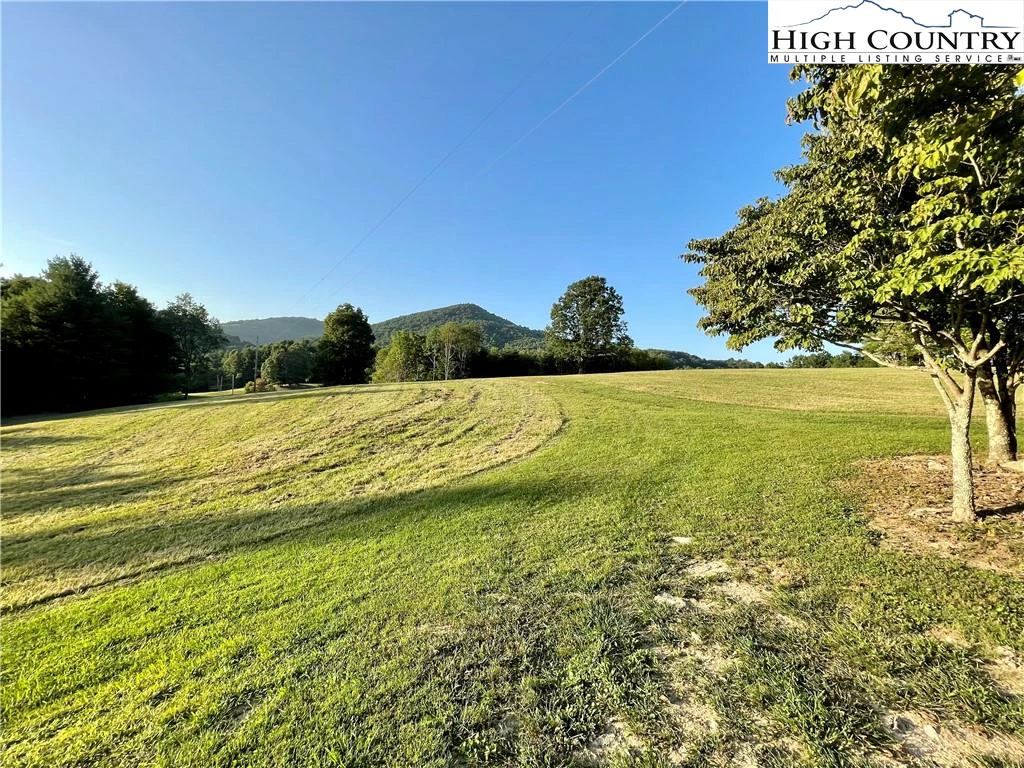 Image number 2 for the current listing