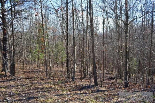 Image number 3 for the current listing