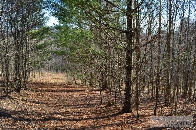 Image number 4 for the current listing