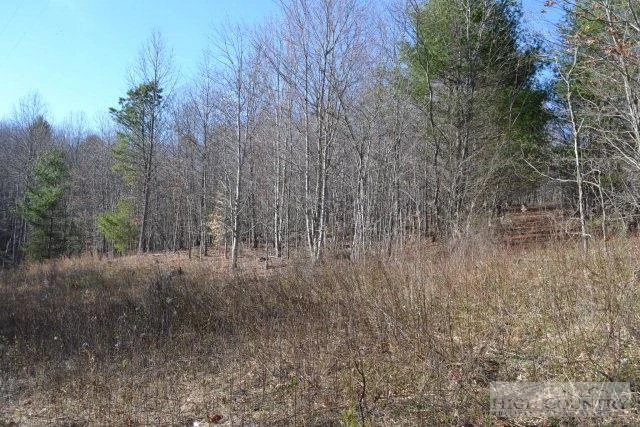 Image number 5 for the current listing