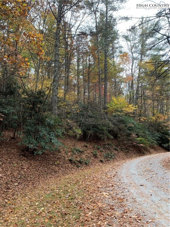 Image number 6 for the current listing