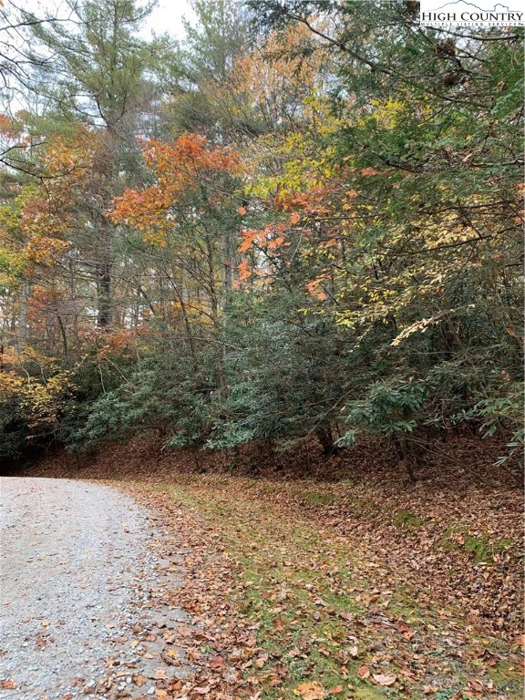 Image number 5 for the current listing