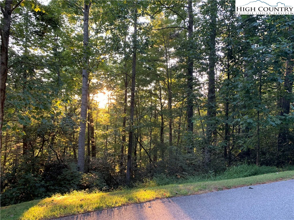 Image number 9 for the current listing