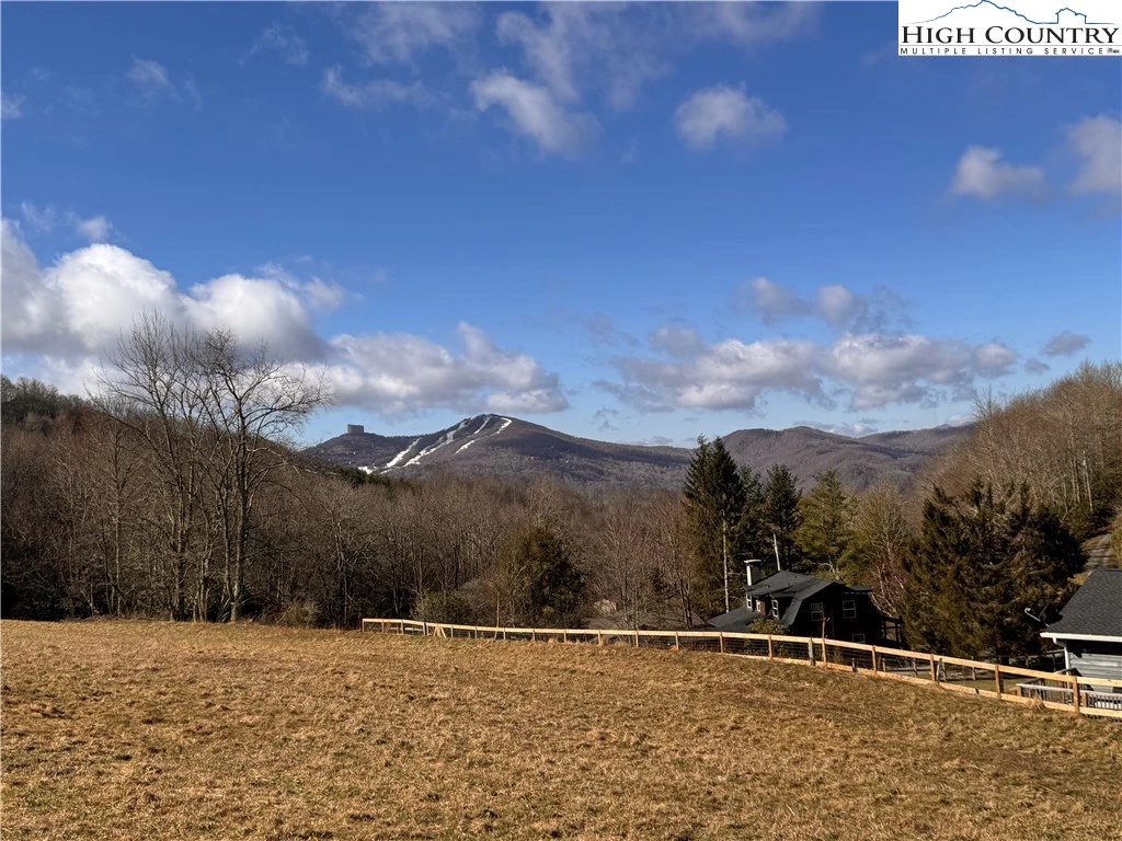 Image number 1 for the current listing