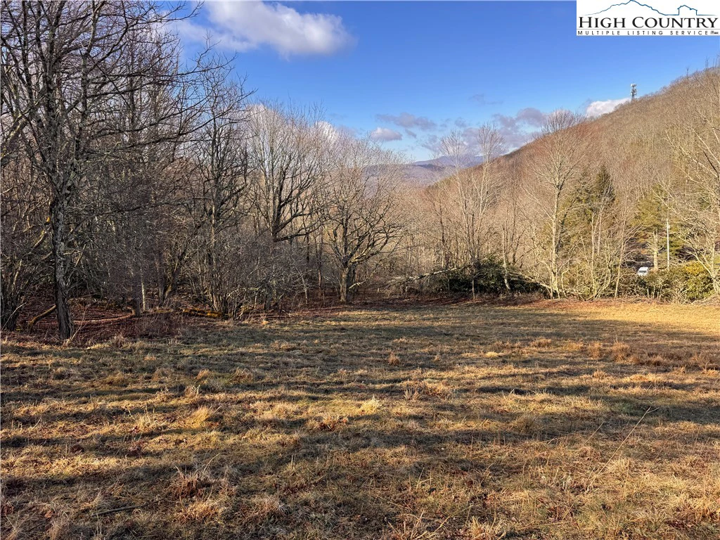 Image number 15 for the current listing