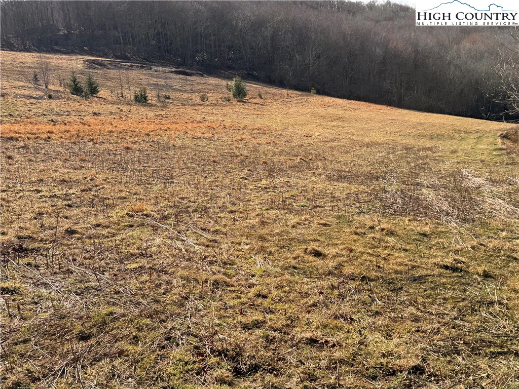 Image number 23 for the current listing