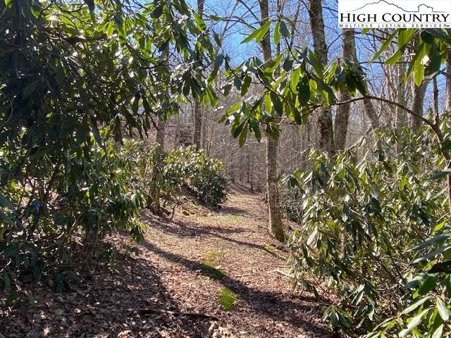 Image number 1 for the current listing