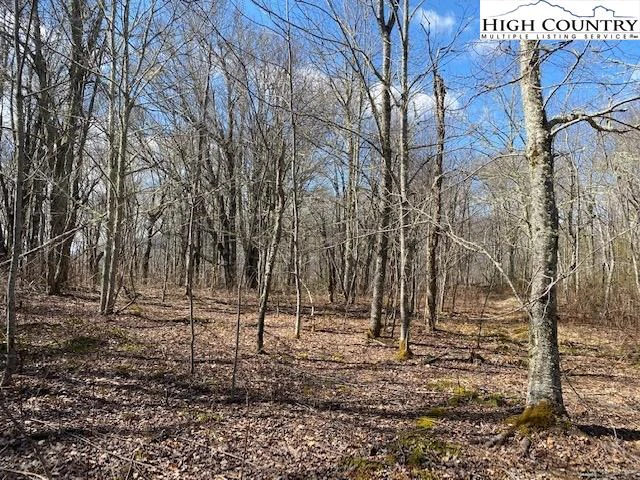 Image number 12 for the current listing