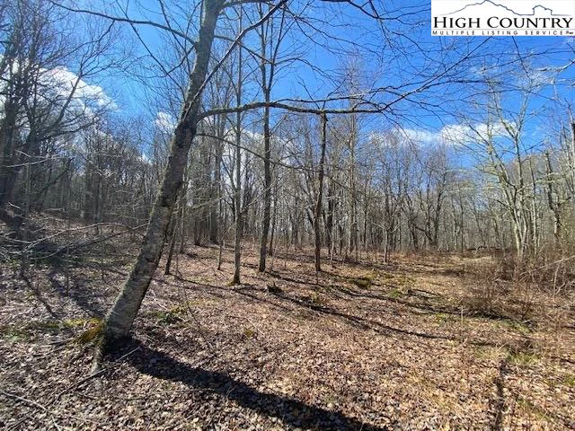 Image number 11 for the current listing
