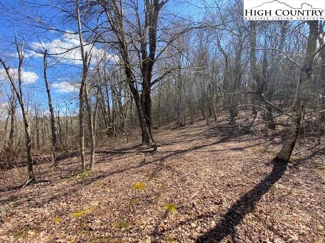 Image number 10 for the current listing